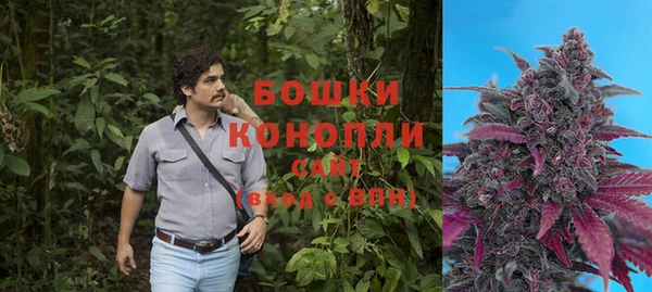 соль ск Алексин