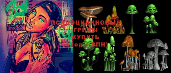 МДПВ Алексеевка