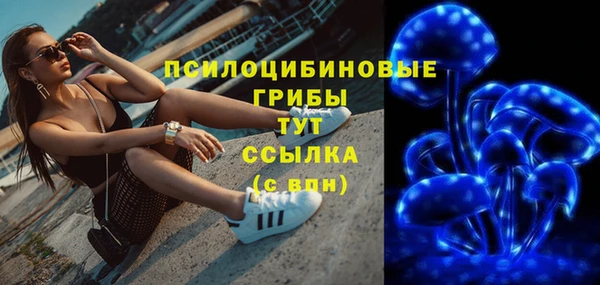 соль ск Алексин