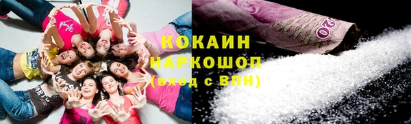 соль ск Алексин