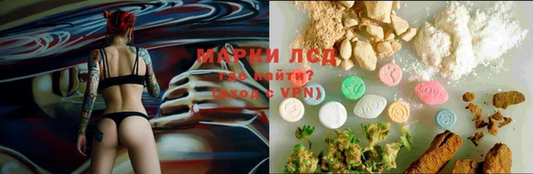 амф Алзамай