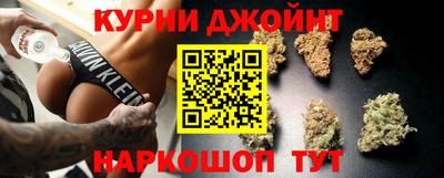 СК Новодвинск
