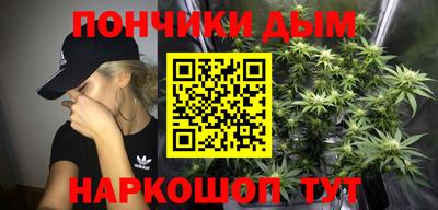 СК Новодвинск