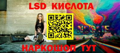 СК Новодвинск