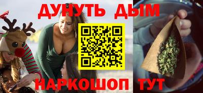 СК Новодвинск