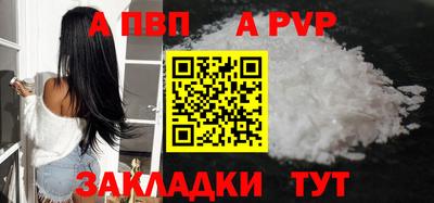 СК Новодвинск