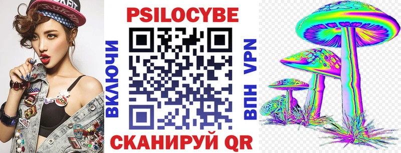 Псилоцибиновые грибы Psilocybe  Рыбинск 
