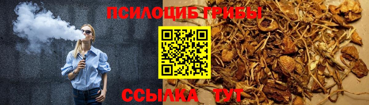 Галлюциногенные грибы Psilocybe Рыбинск