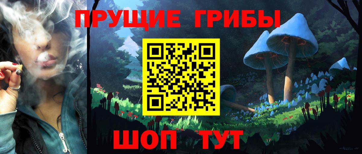 Галлюциногенные грибы GOLDEN TEACHER  Псилоцибиновые грибы Cubensis  Рыбинск  Вход с VPN 