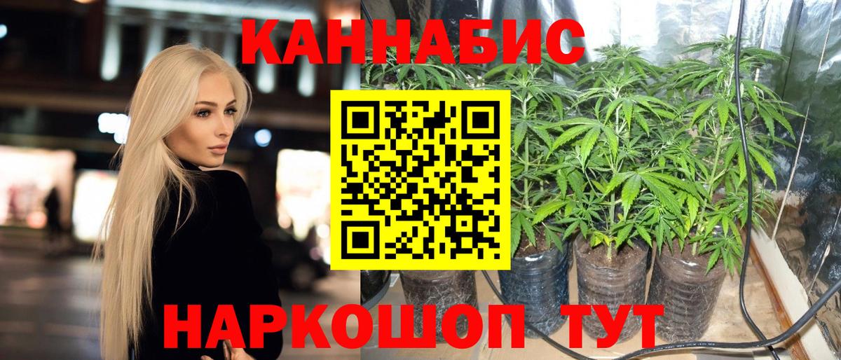 Бошки Шишки Amnesia  МАРИХУАНА сатива  Каннабис тримм  Рыбинск  Конопля конопля  Вход с VPN 